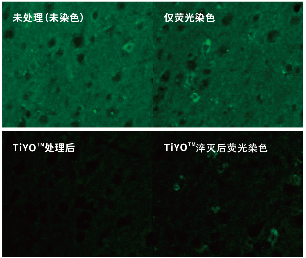 關于消除生物樣品自體熒光，您了解哪些？
